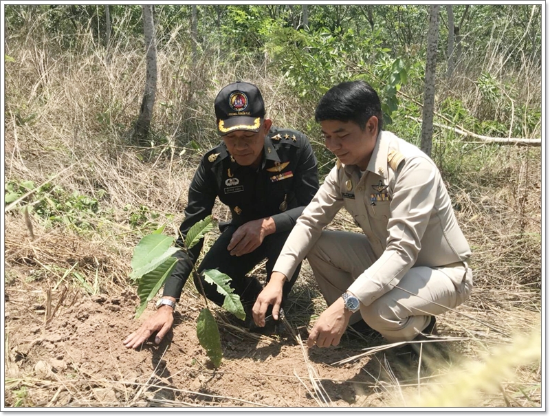 ﻿กรมบังคับคดีร่วมโครงการประชารัฐร่วมใจ ปลูกต้นไม้ให้แผ่นดิน เนื่องในวันต้นไม้ประจำปีของชาติ ณ จังหวัดยโสธรและจังหวัดปทุมธานี